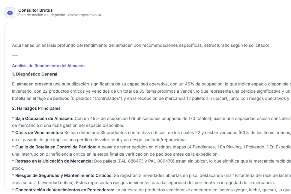 Brutus WMS: Consultor Brutus con plan de acción e informe del depósito
