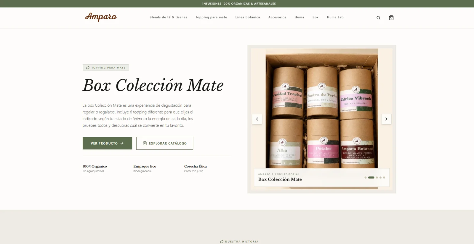 Tienda online de infusiones: portada con banner destacado y catálogo
